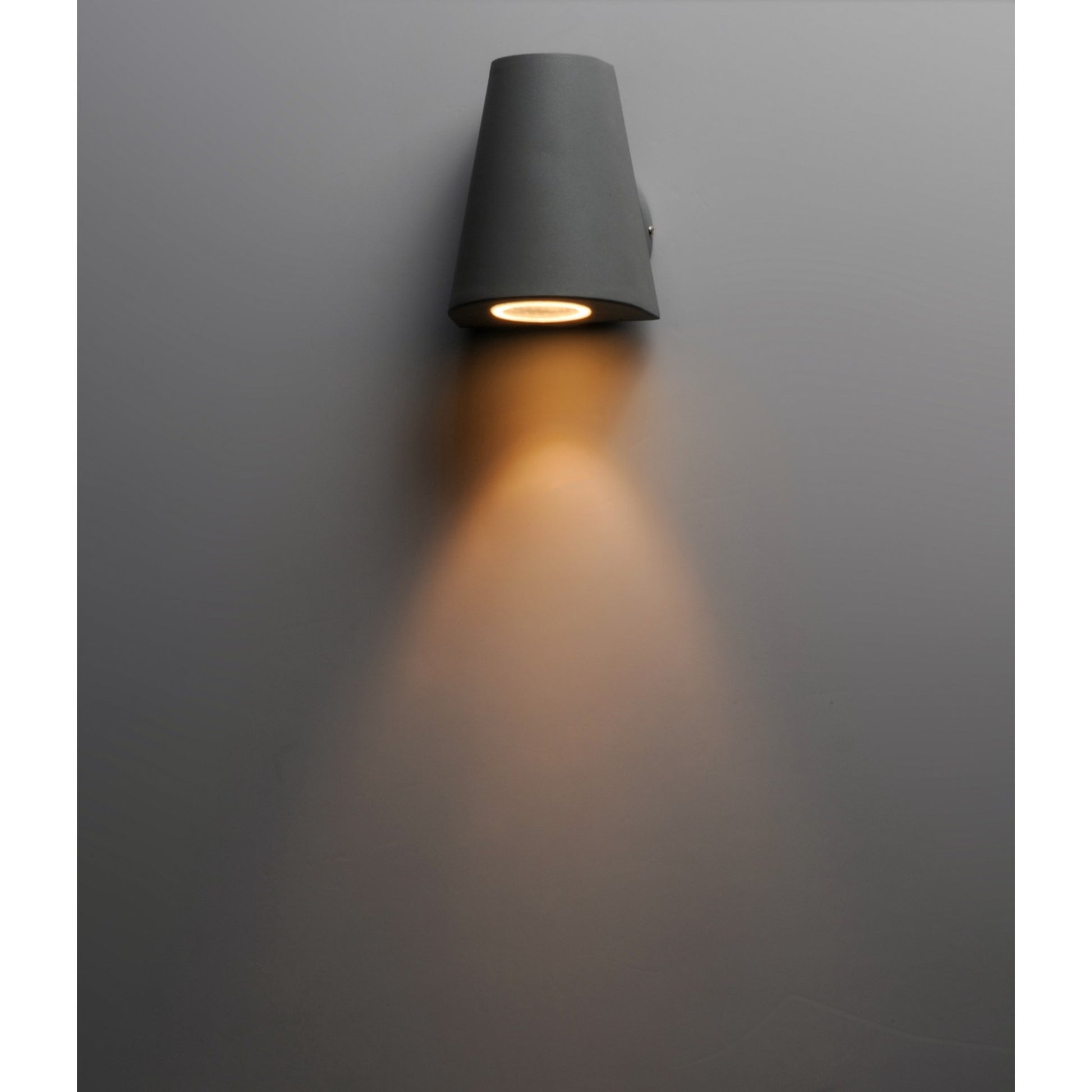 Mini 6" LED Outdoor Wall Sconce, Silver Finish - Bees Lighting