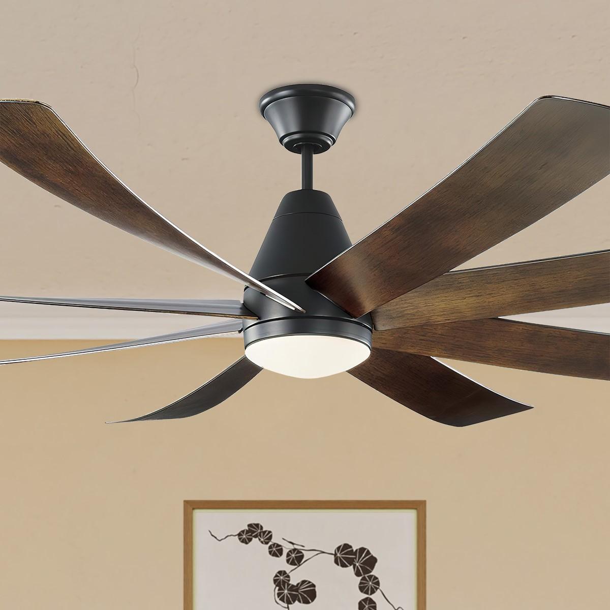 Ceiling Fans Bees Lighting
