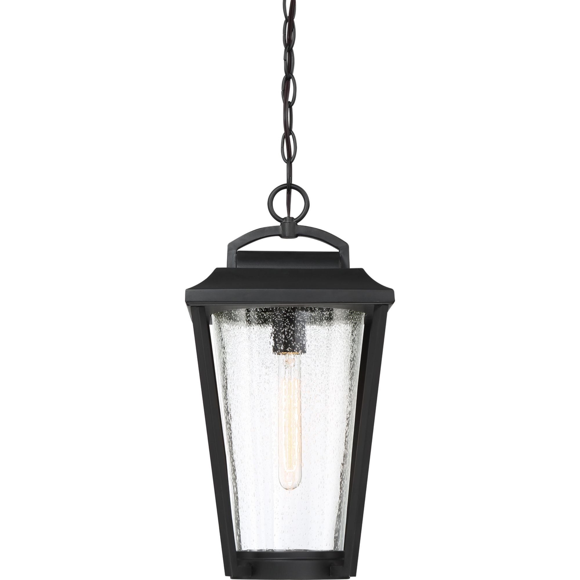 Lakeview 16" Outdoor Hanging Lantern, Bronze Finish - Bees Lighting