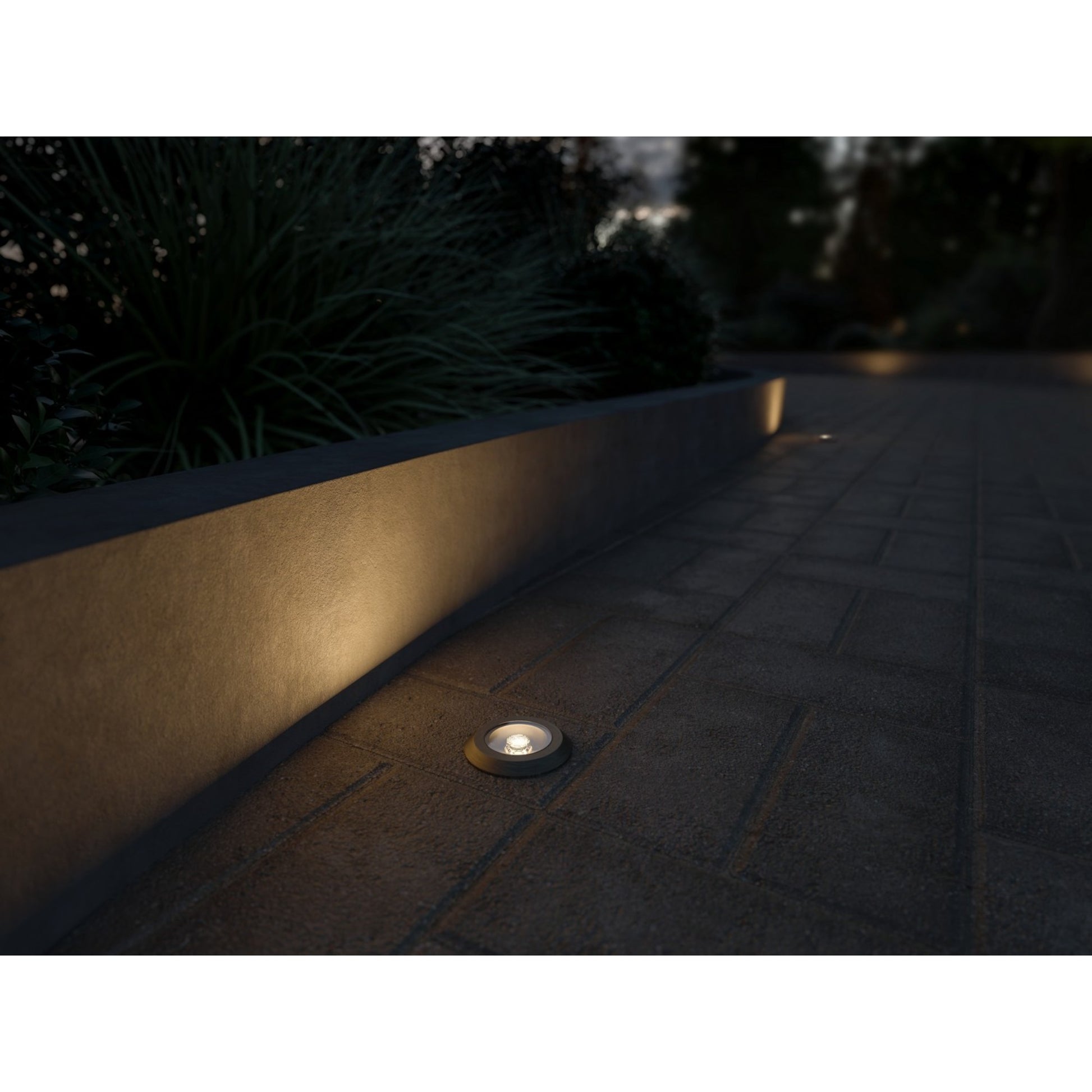 LED Landscape In-Ground 200 Lumens Brass 3000K - Bees Lighting