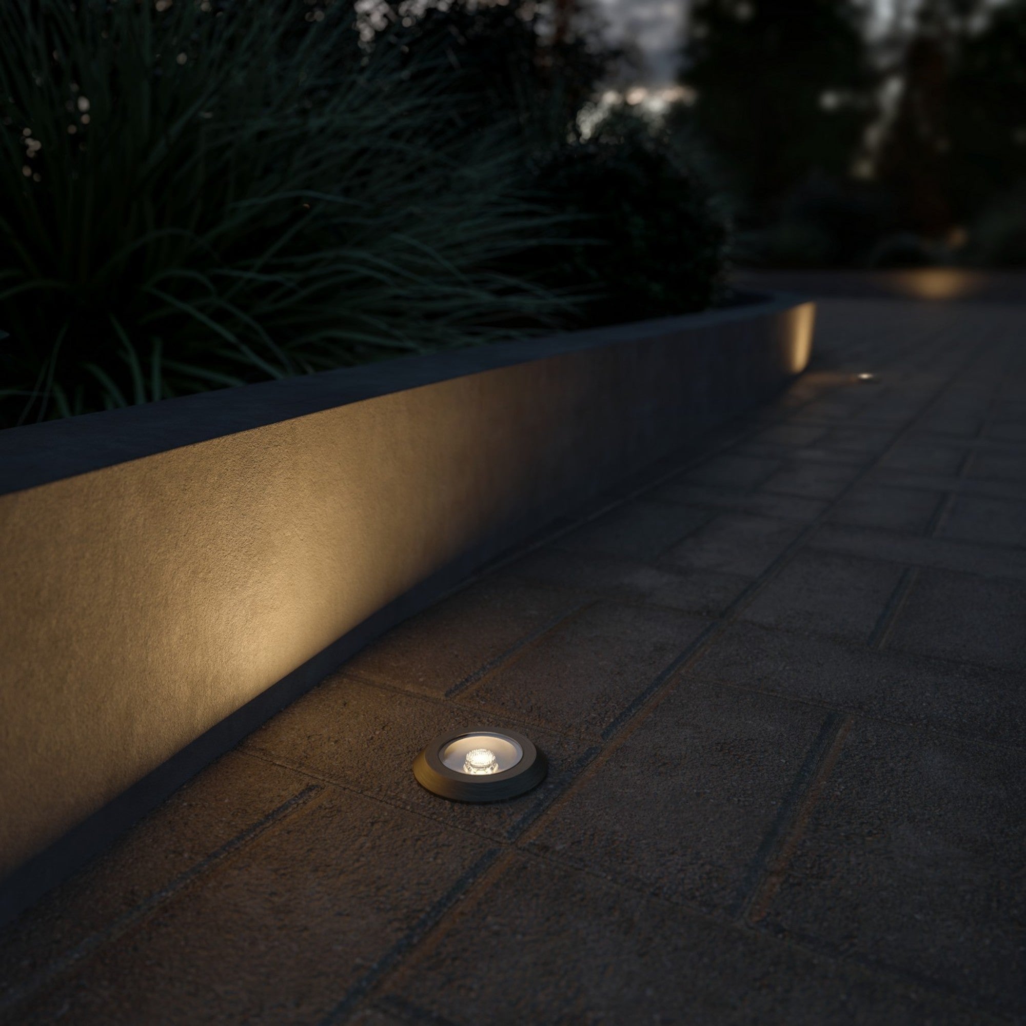 LED Landscape In-Ground 200 Lumens Brass 3000K - Bees Lighting