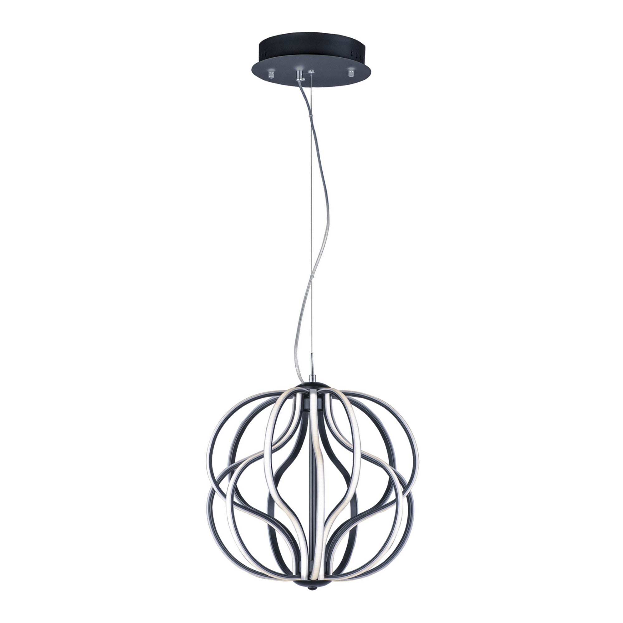 Aura LED Pendant Light - Bees Lighting