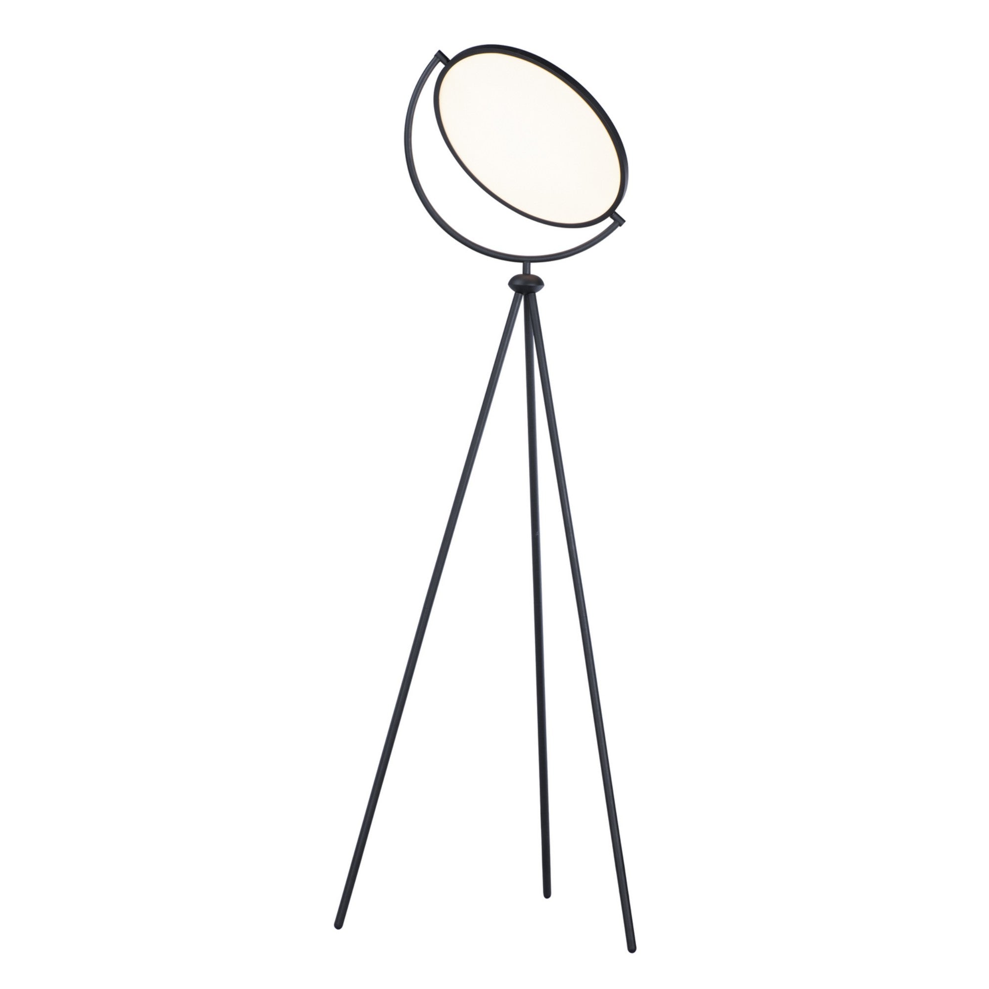 Paddle 68" Floor Lamp with Edge-Lit Adjustable Disc, Black Finish - Bees Lighting