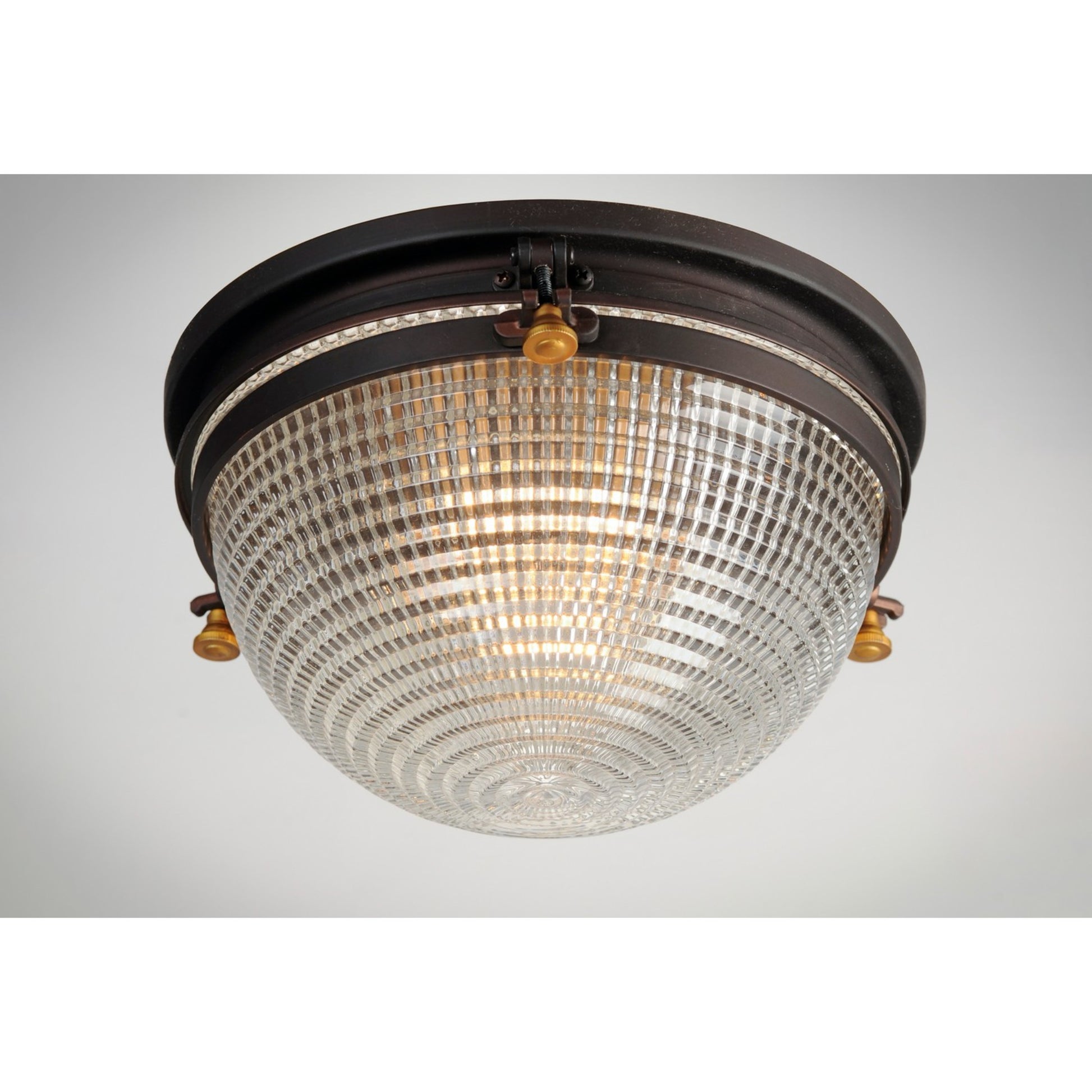Portside 12" Outdoor Ceiling Mount, Oil Rubbed Bronze Finish - Bees Lighting