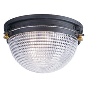 Portside 12" Outdoor Ceiling Mount, Oil Rubbed Bronze Finish - Bees Lighting