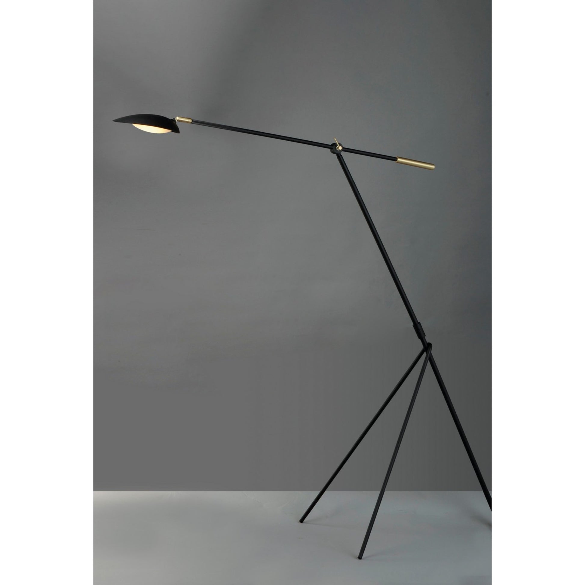 Scan LED Floor Lamp, Black / Satin Brass Finish - Bees Lighting