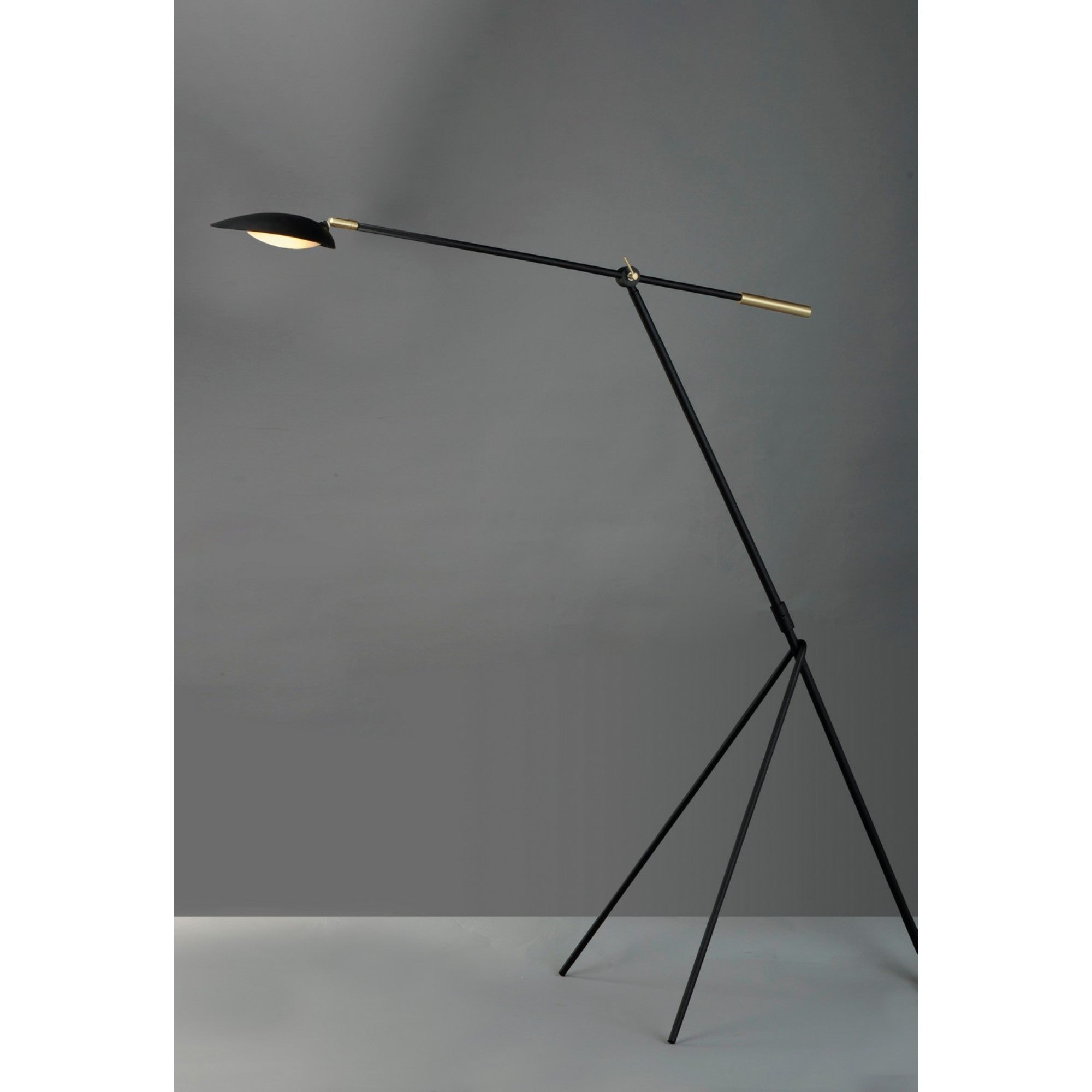 Scan LED Floor Lamp, Black / Satin Brass Finish - Bees Lighting