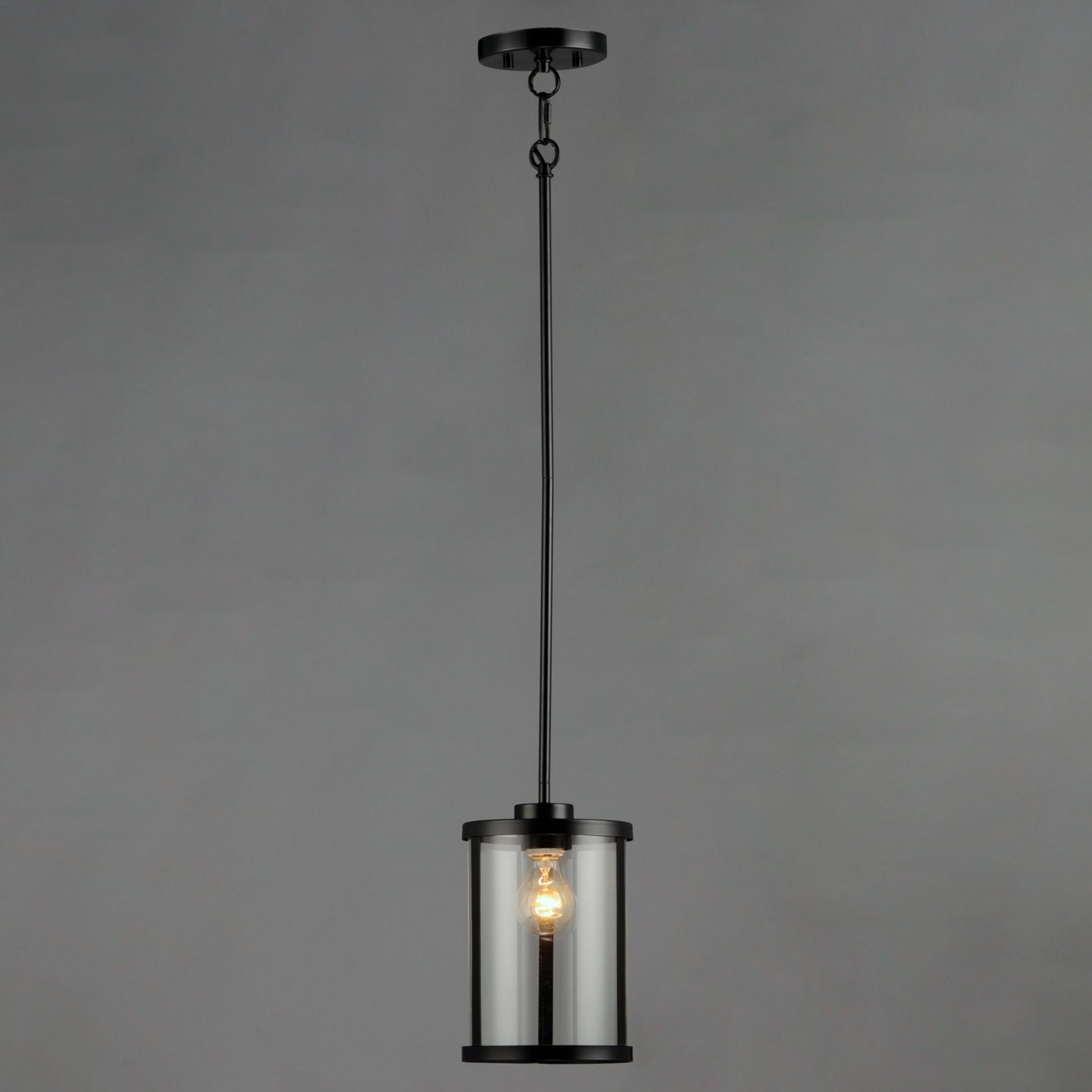 Sentinel 11" Pendant, Black Finish - Bees Lighting