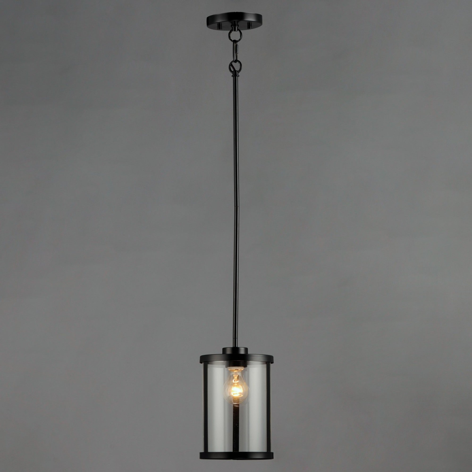 Sentinel 11" Pendant, Black Finish - Bees Lighting