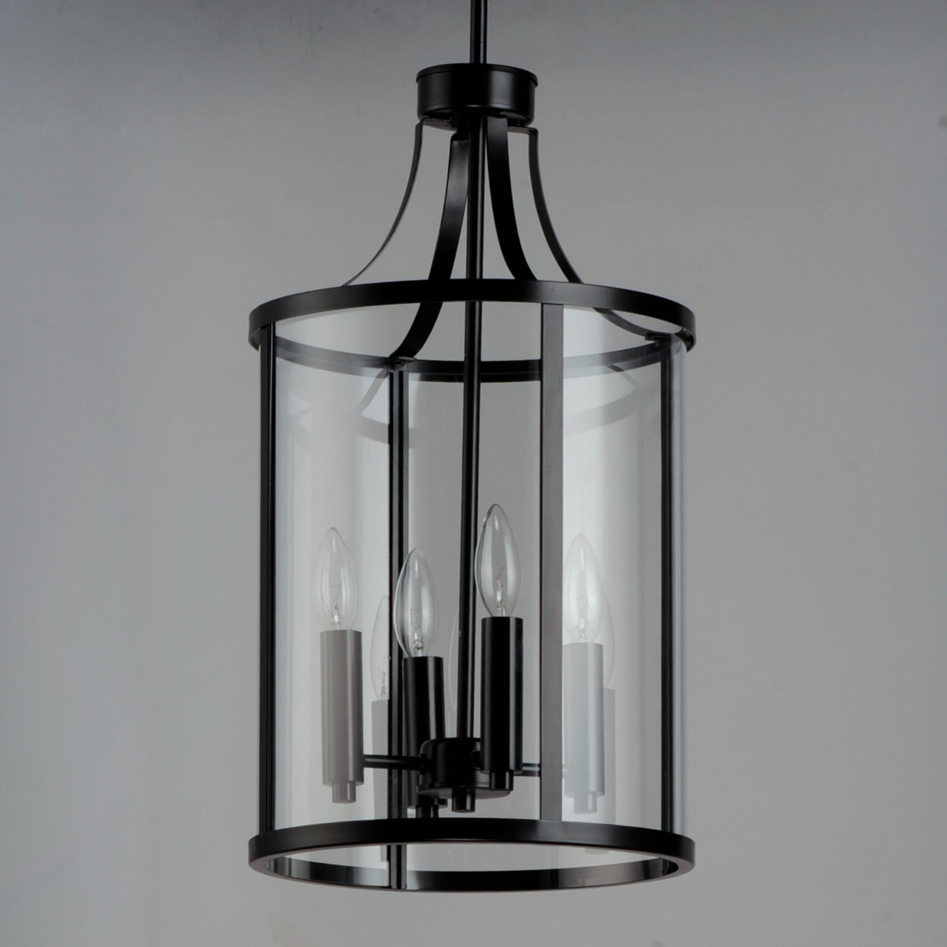 Sentinel 22" 4-Light Pendant, Black Finish - Bees Lighting