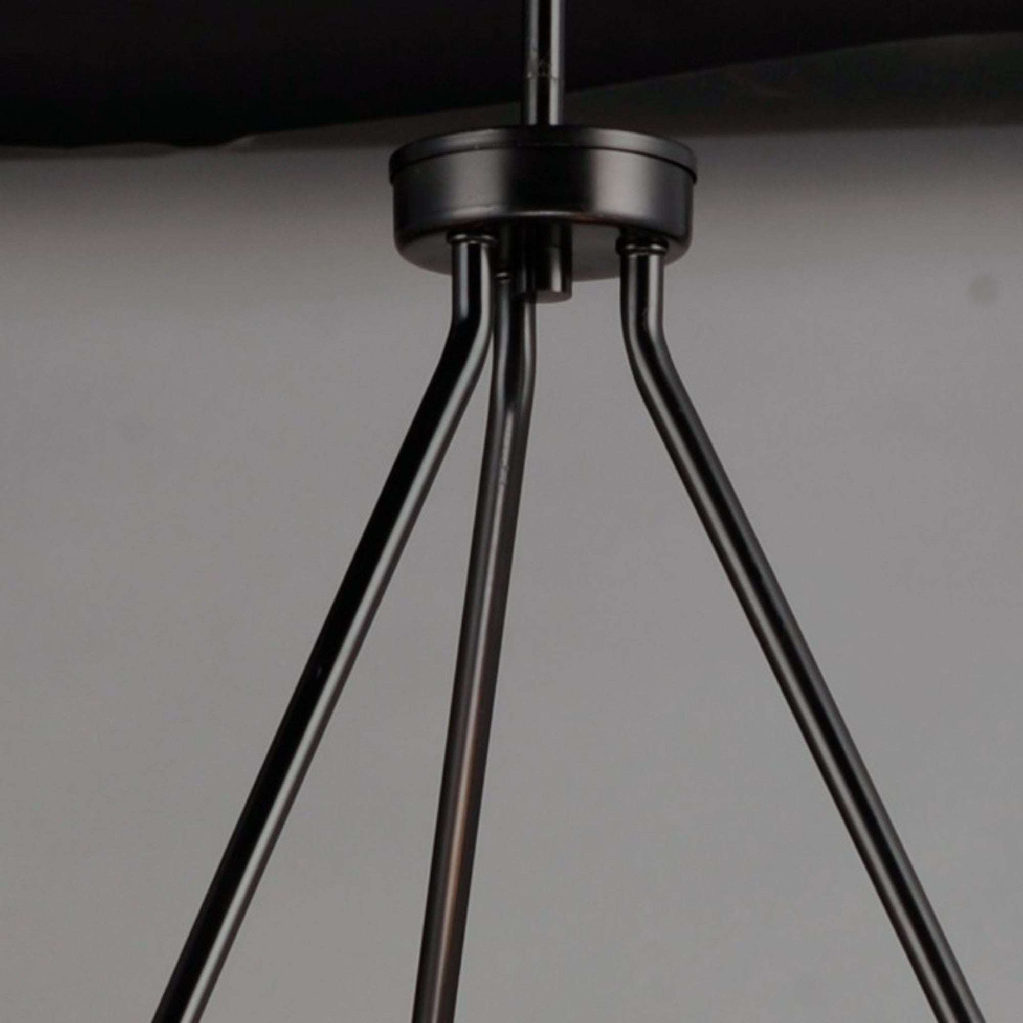 Sentinel 24" 6-Light Chandelier, Black Finish - Bees Lighting