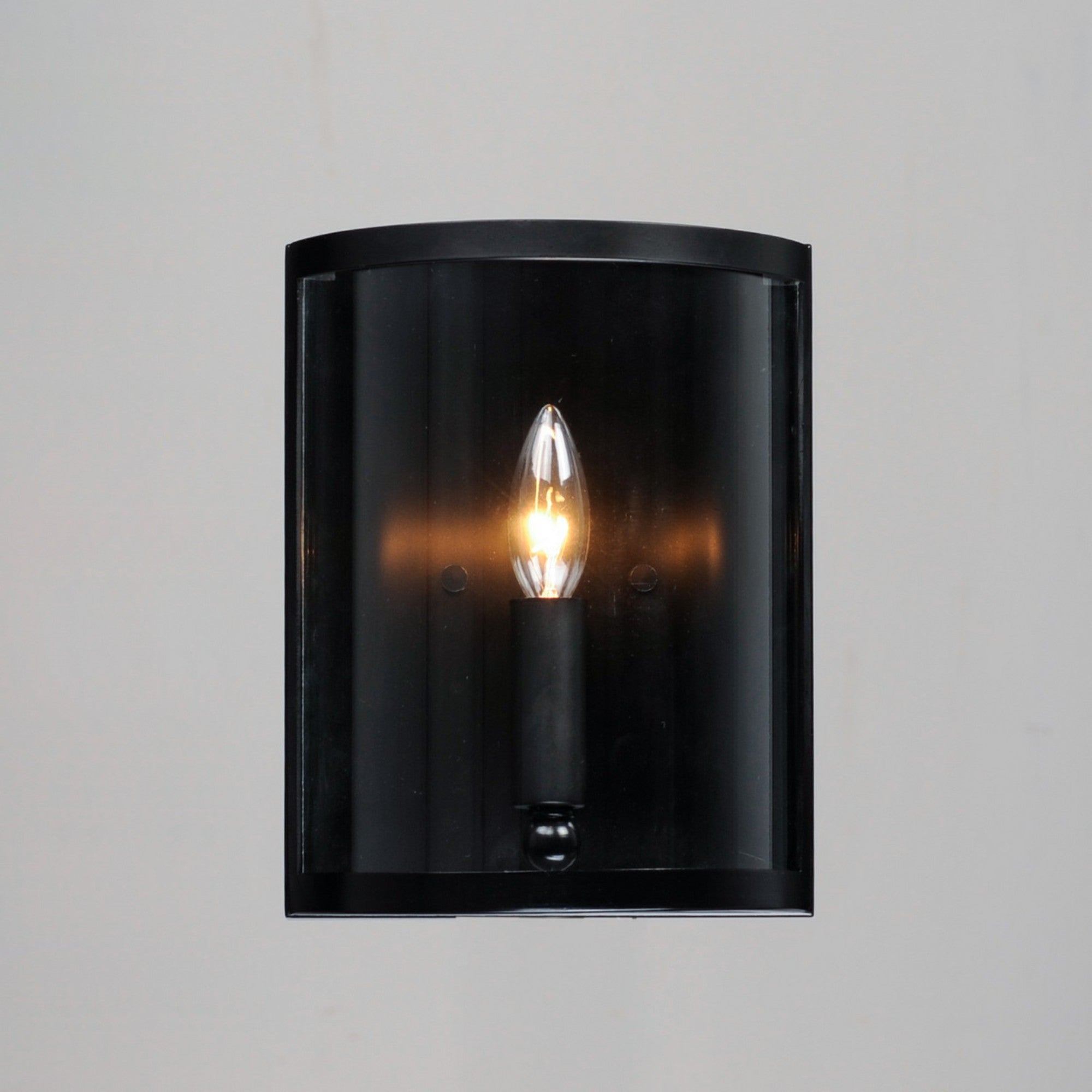 Sentinel 10" Wall Sconce, Black Finish - Bees Lighting
