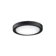Fanimation Spitfire Ceiling Fan LED Light Kit - Bees Lighting