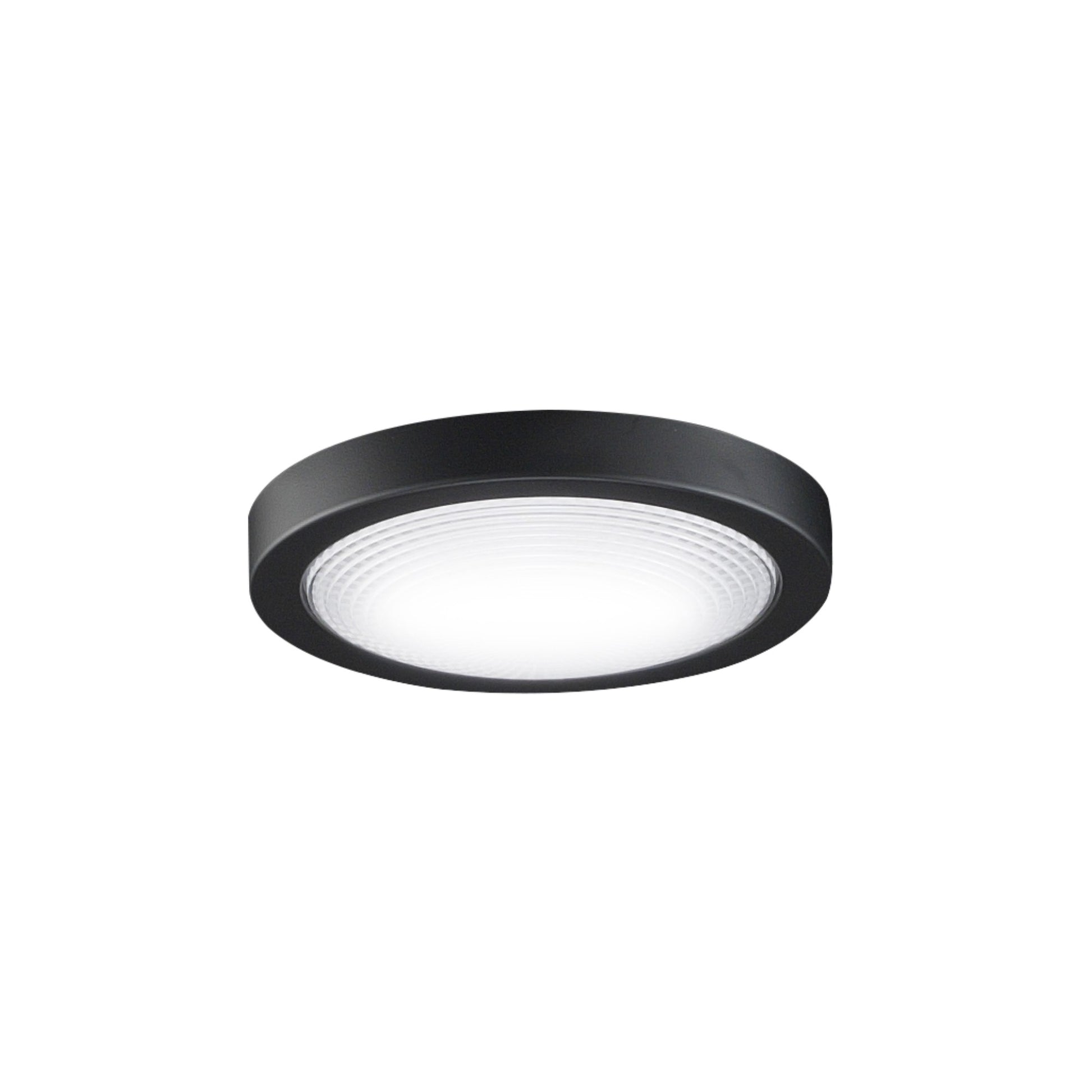 Fanimation Spitfire Ceiling Fan LED Light Kit - Bees Lighting