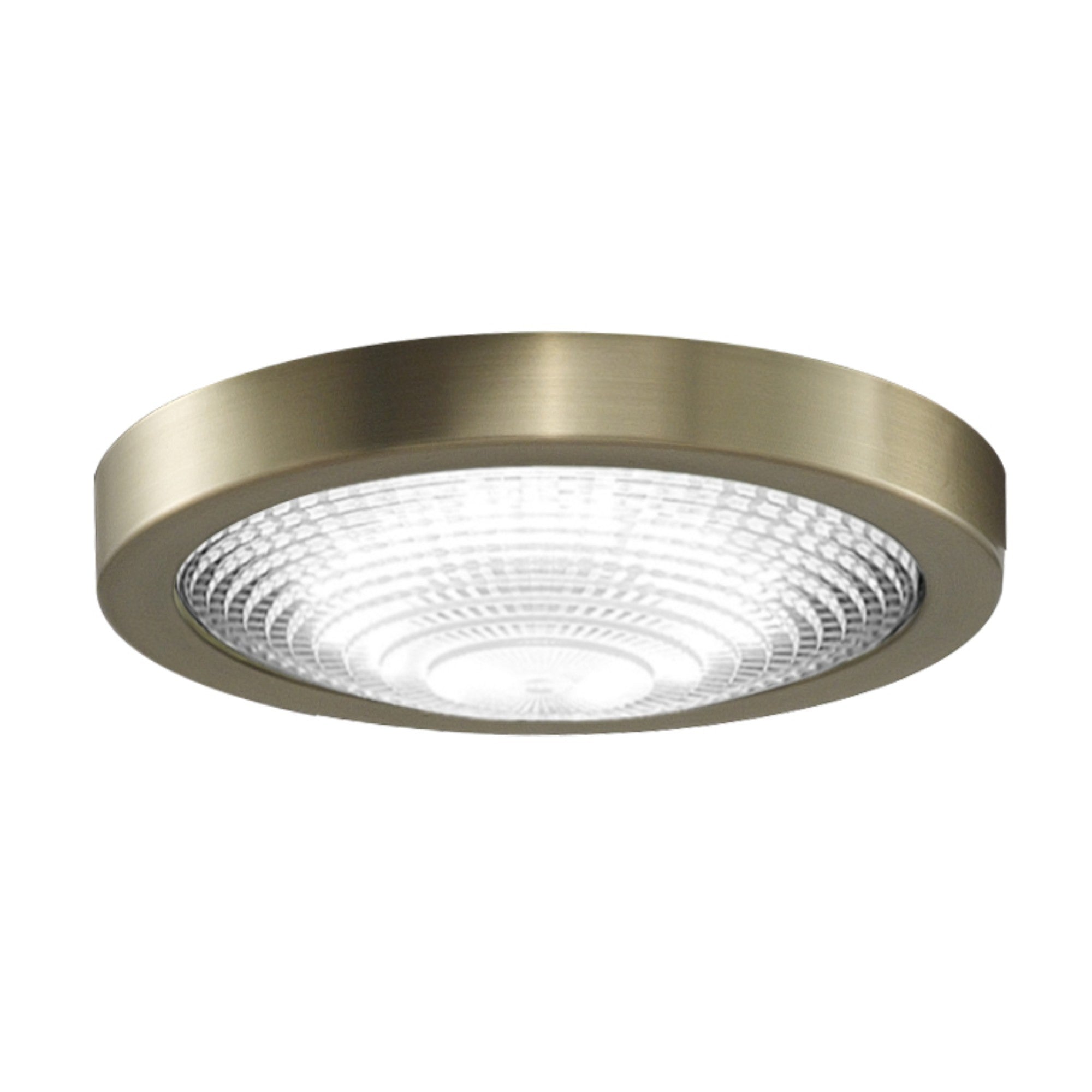 Fanimation Spitfire Ceiling Fan LED Light Kit - Bees Lighting