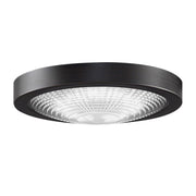 Fanimation Spitfire Ceiling Fan LED Light Kit - Bees Lighting