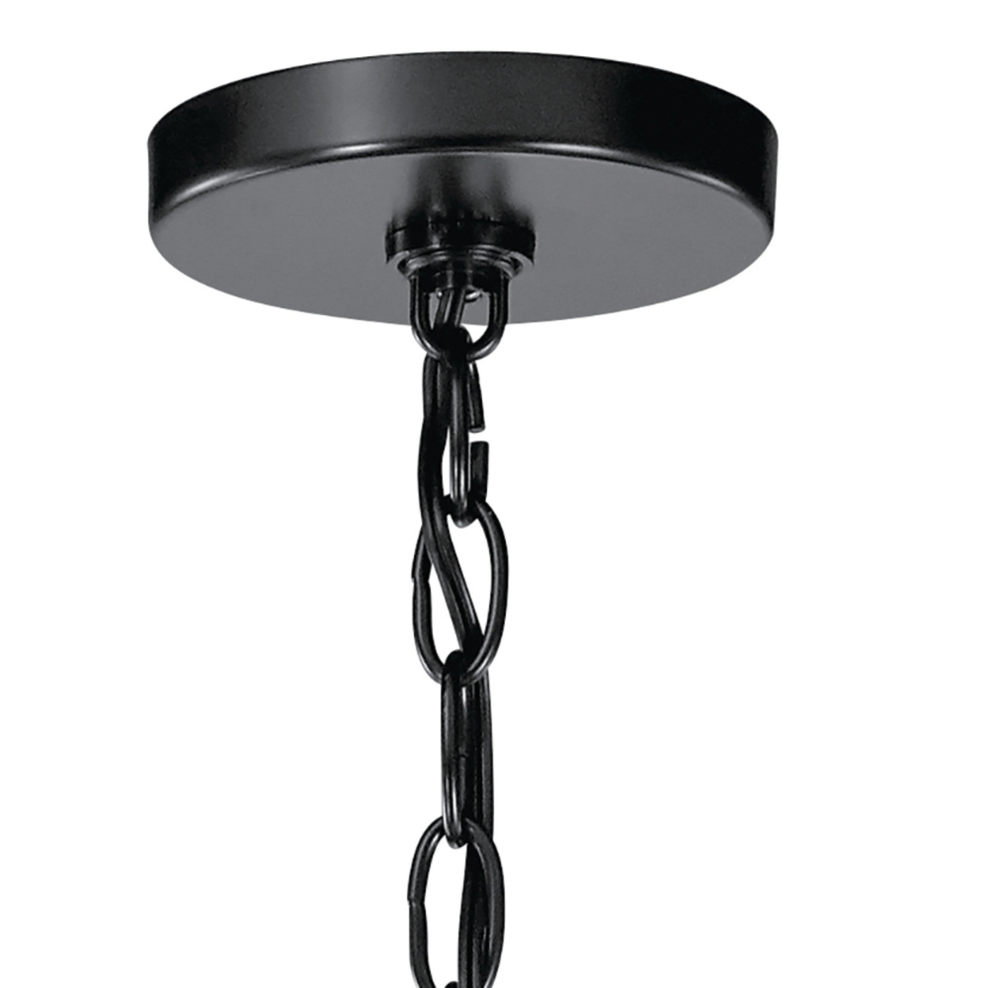 Valserrano 24" 5-Light Chandelier, Black Finish, Etched Glass - Bees Lighting