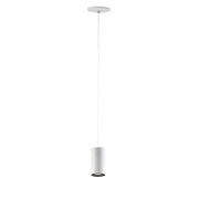 Dwell 1-Light LED Pendant - Bees Lighting