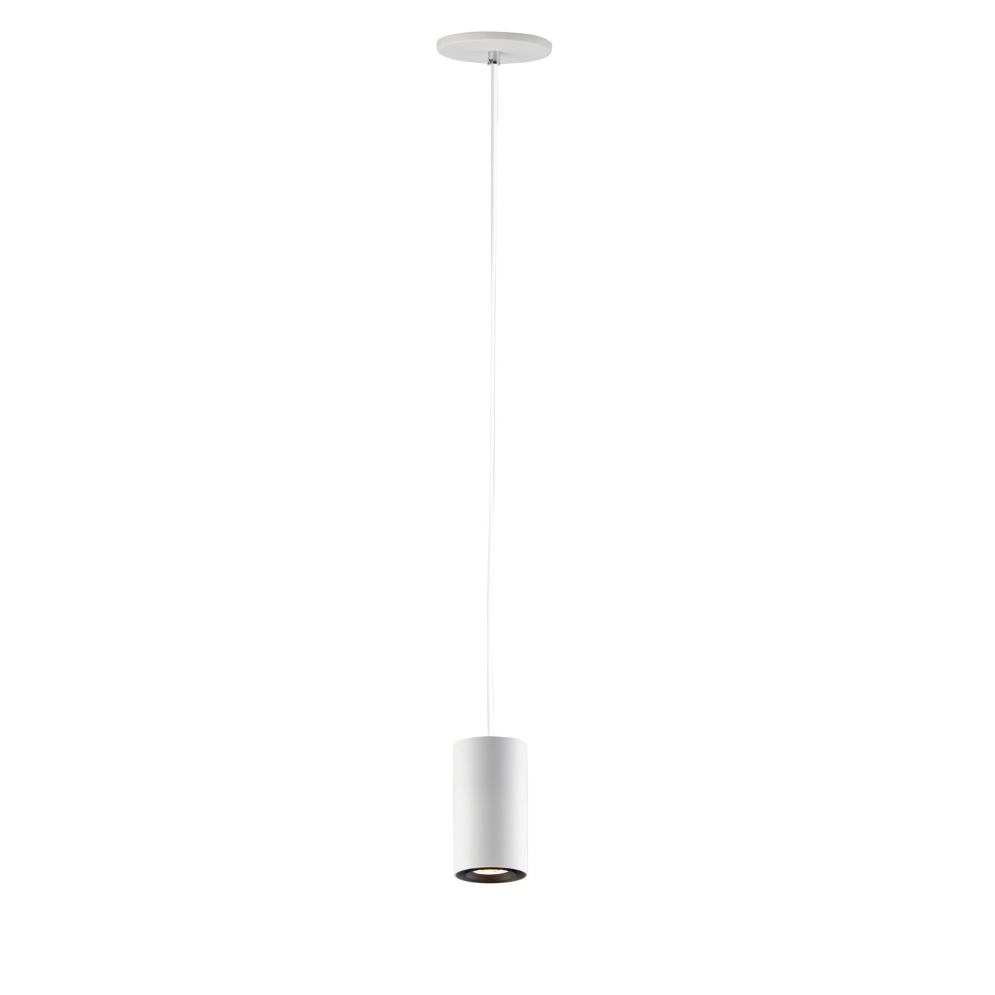 Dwell 1-Light LED Pendant - Bees Lighting