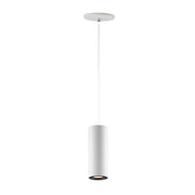 Dwell 1-Light LED Pendant - Bees Lighting