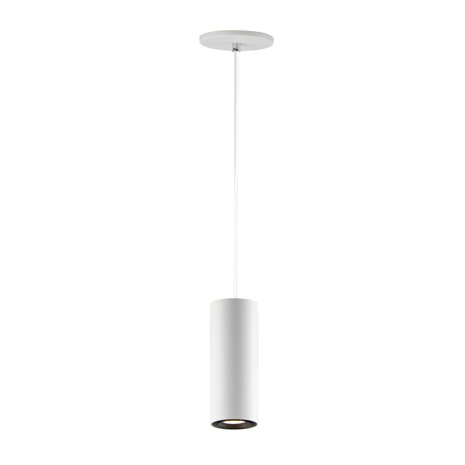 Dwell 1-Light LED Pendant - Bees Lighting