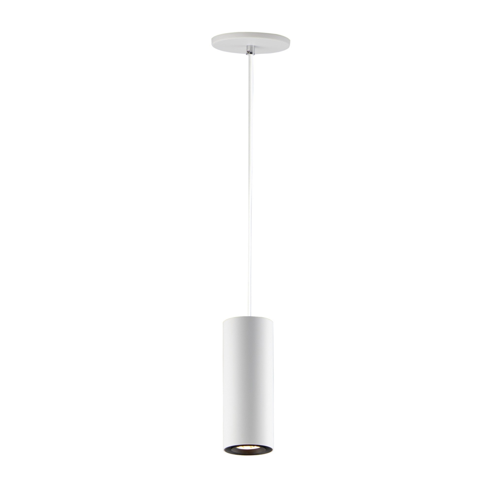 Dwell 1-Light LED Pendant - Bees Lighting