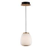 Soji 9" LED Pendant, Black & Gold Finish - Bees Lighting