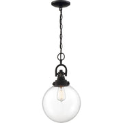 Skyloft 10 in. 1 Light Pendant Light, Clear Glass - Bees Lighting