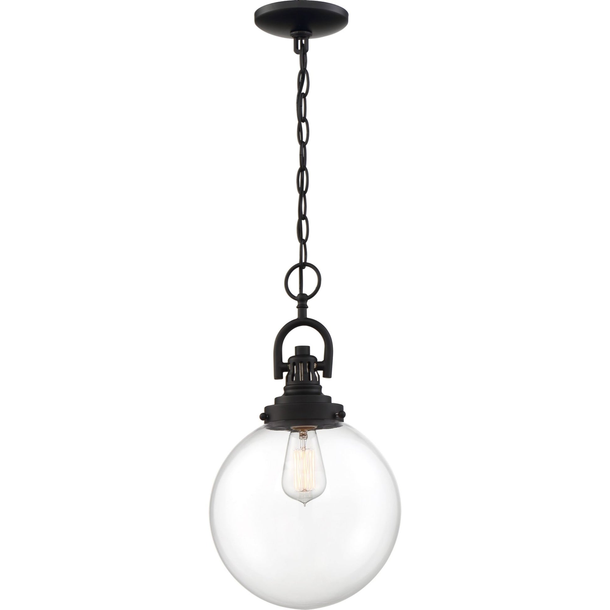 Skyloft 10 in. 1 Light Pendant Light, Clear Glass - Bees Lighting
