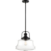 Basel 14 in. 1 Light Pendant Light, Clear Glass - Bees Lighting