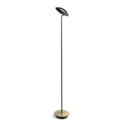 Royyo Matte Black with Brass Contemporary LED Floor Lamp with USB Port - Bees Lighting