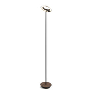 Royyo Matte Black with Oiled Walnut Contemporary LED Floor Lamp with USB Port - Bees Lighting