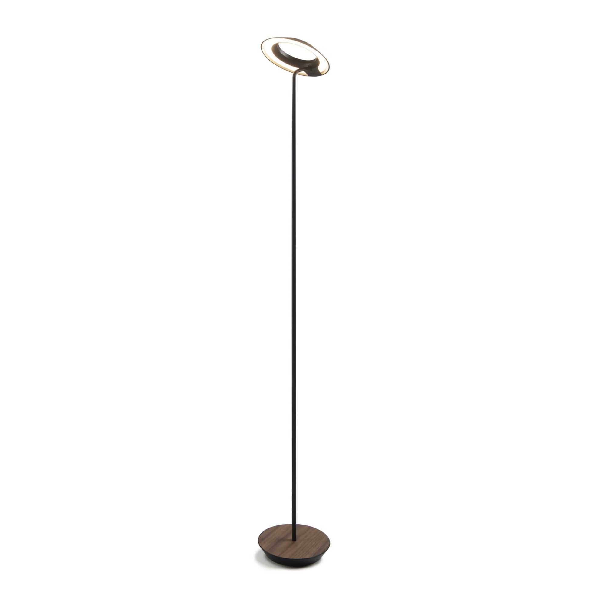Royyo Matte Black with Oiled Walnut Contemporary LED Floor Lamp with USB Port - Bees Lighting