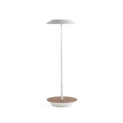 Royyo Matte White With Oiled Walnut Modern LED Desk Lamp with USB Port - Bees Lighting