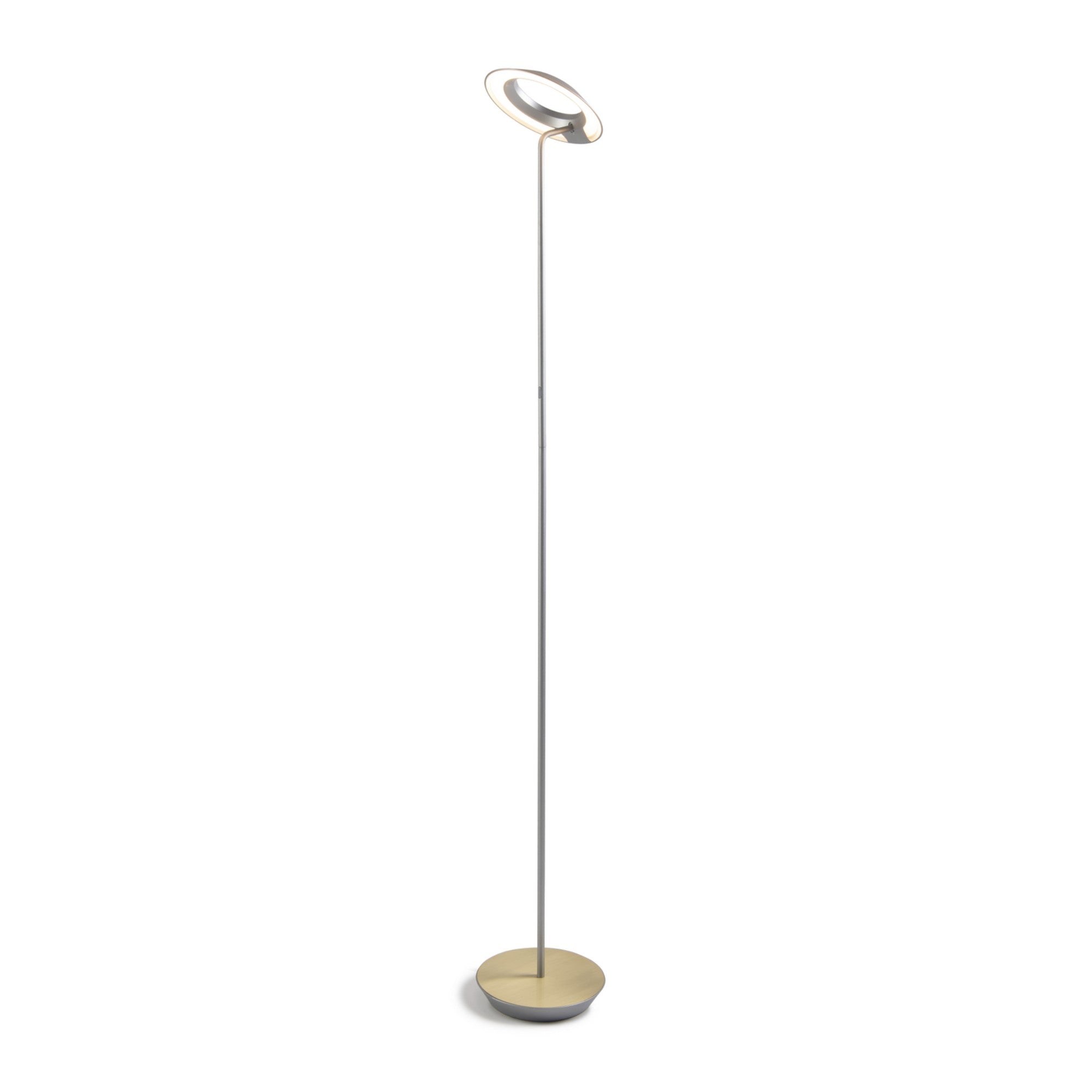 Royyo Silver with Brass Contemporary LED Floor Lamp with USB Port - Bees Lighting