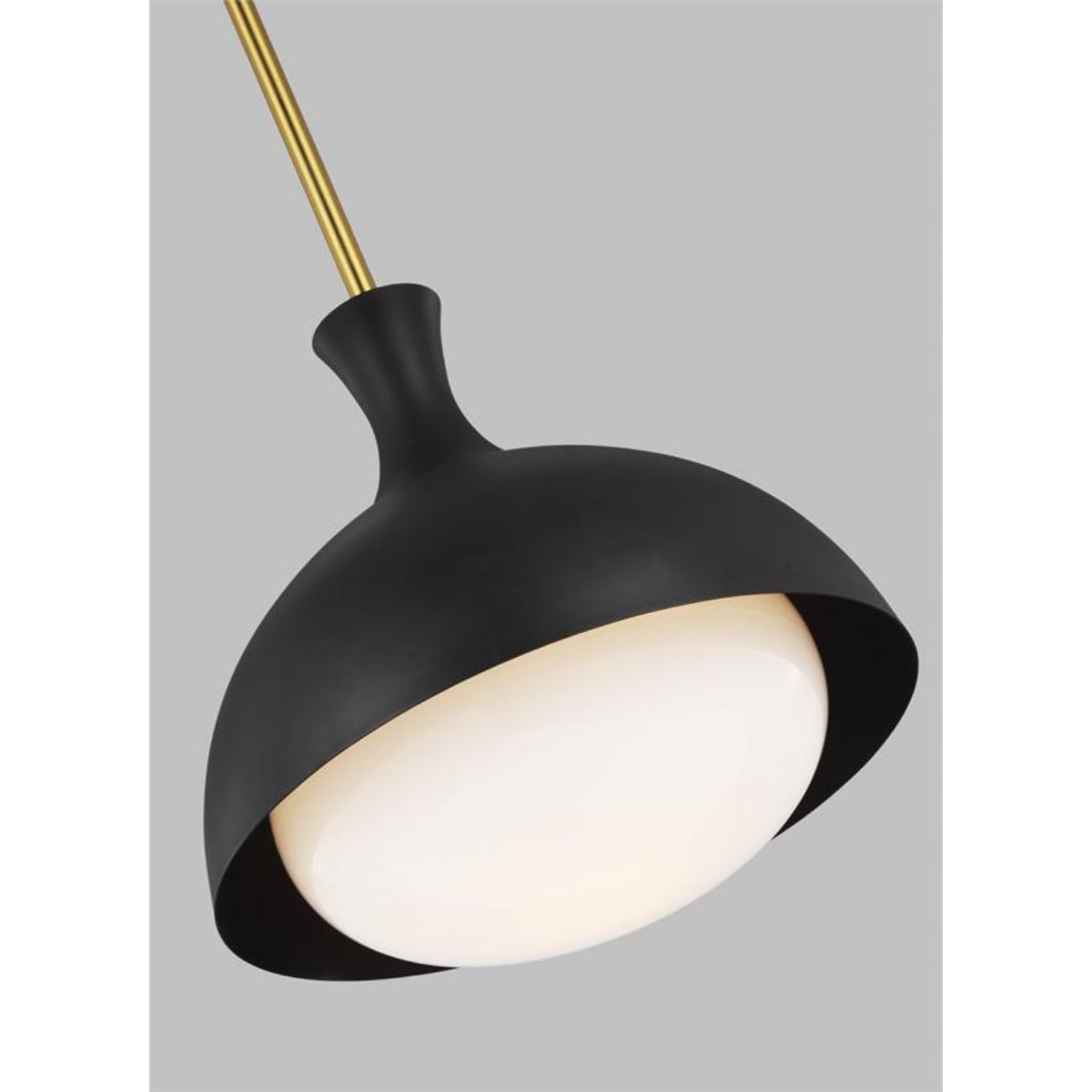 Lucerne 12 in. Pendant Light Black finish - Bees Lighting