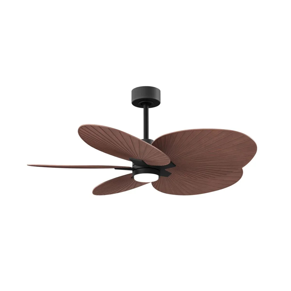 Matte black LED ceiling fan with walnut wood blades and central light kit