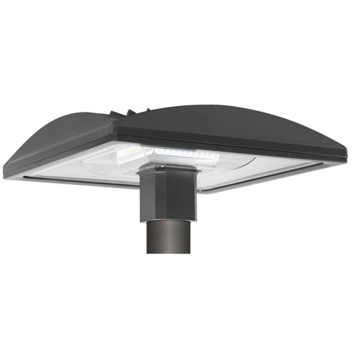 LED Post Top Light, 150 Watts, 14280 Lumens, 5000K, 120-277V - Bees Lighting