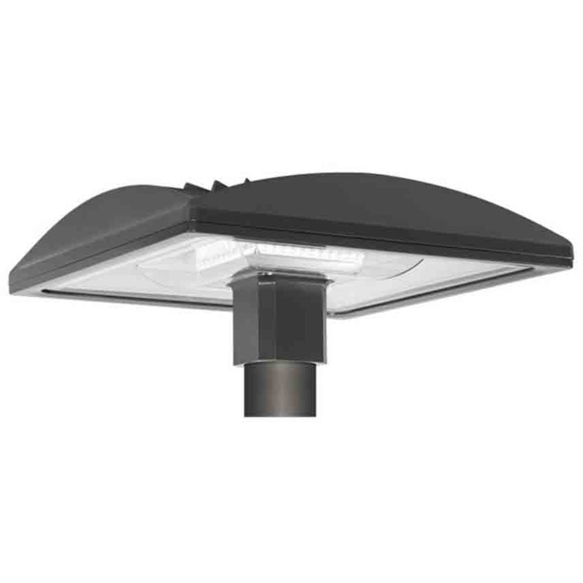 LED Post Top Light, 78 Watts, 8360 Lumens, 5000K, 120-277V - Bees Lighting