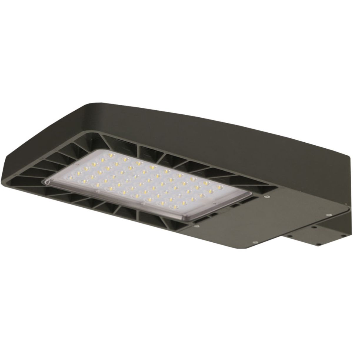 LED Flood Pole Light, 100W, 14500 Lumens, 5000K, Slipfitter Mount, 120-277V - Bees Lighting