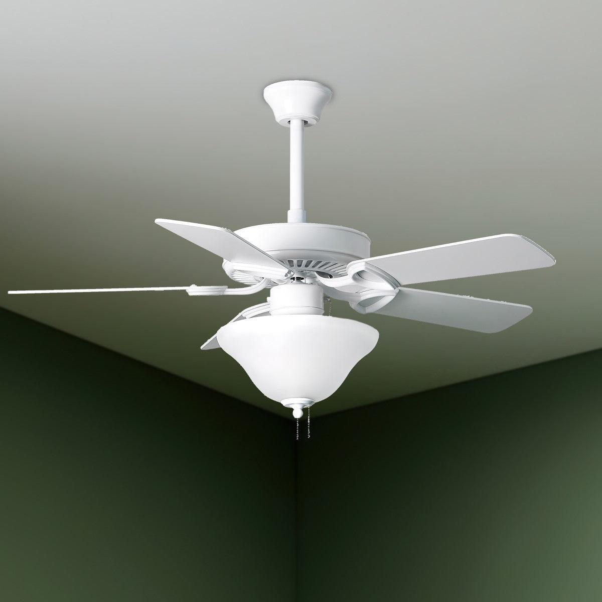 America TW 42 Inch Ceiling Fan With Light And Pull Chain, Gloss White Finish - Bees Lighting