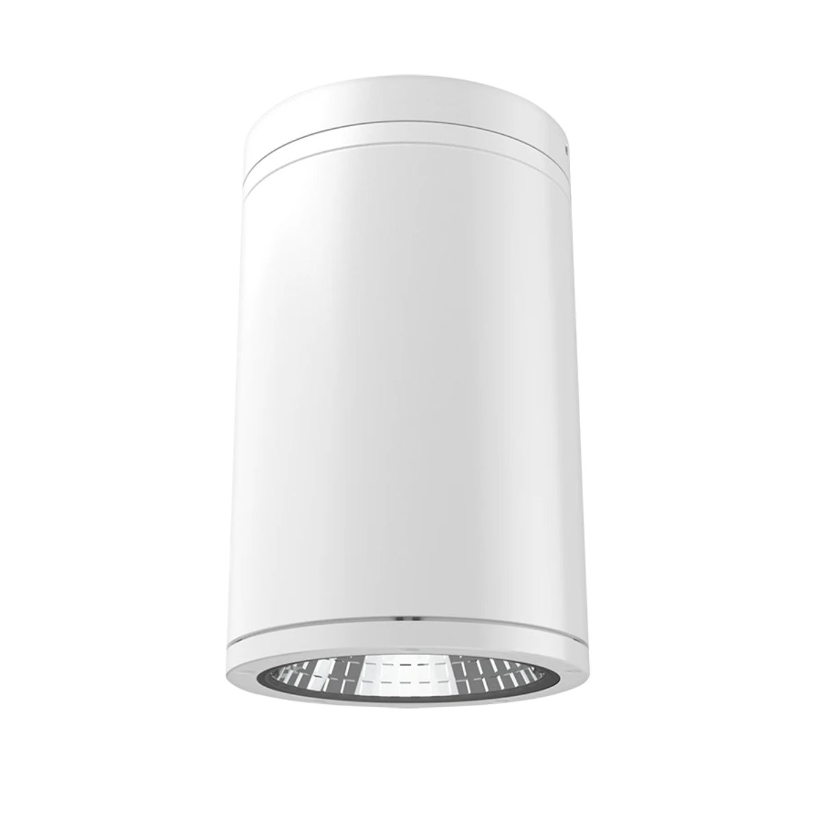 RAB CD34 6 Inch 30W LED Surface/Pendant Mount Cylinder with Clear Lens Selectable CCT