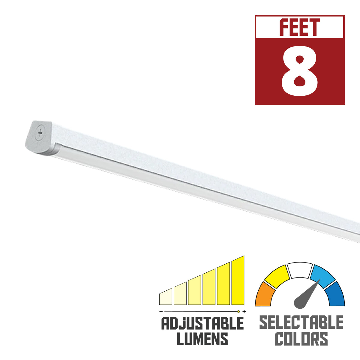 RAB C-Strip Field Adjustable Strip Fixture - Bees Lighting