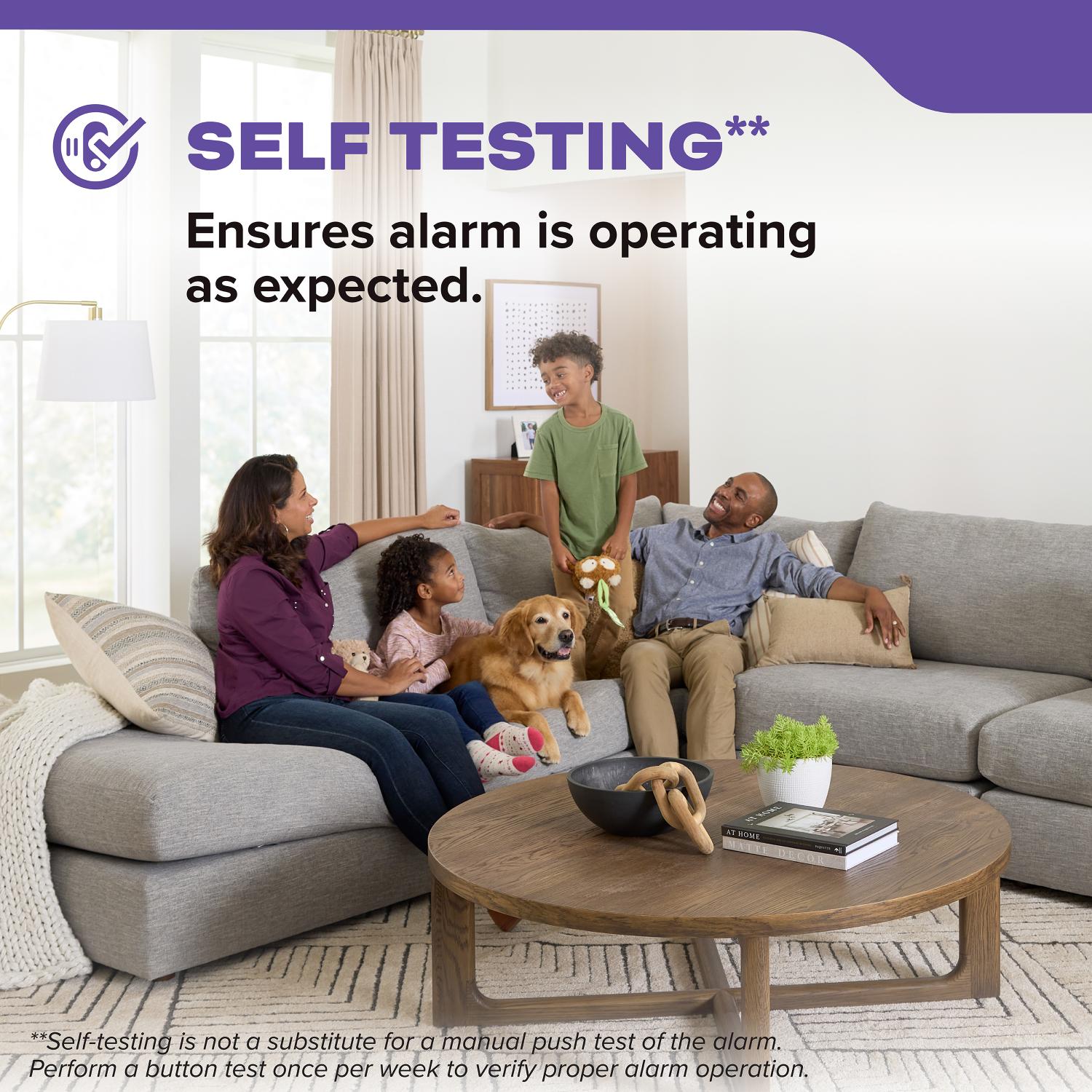 FireX Hardwired+10-Year Battery Backup Smoke & Carbon Monoxide Detector, Voice Alerts - Bees Lighting