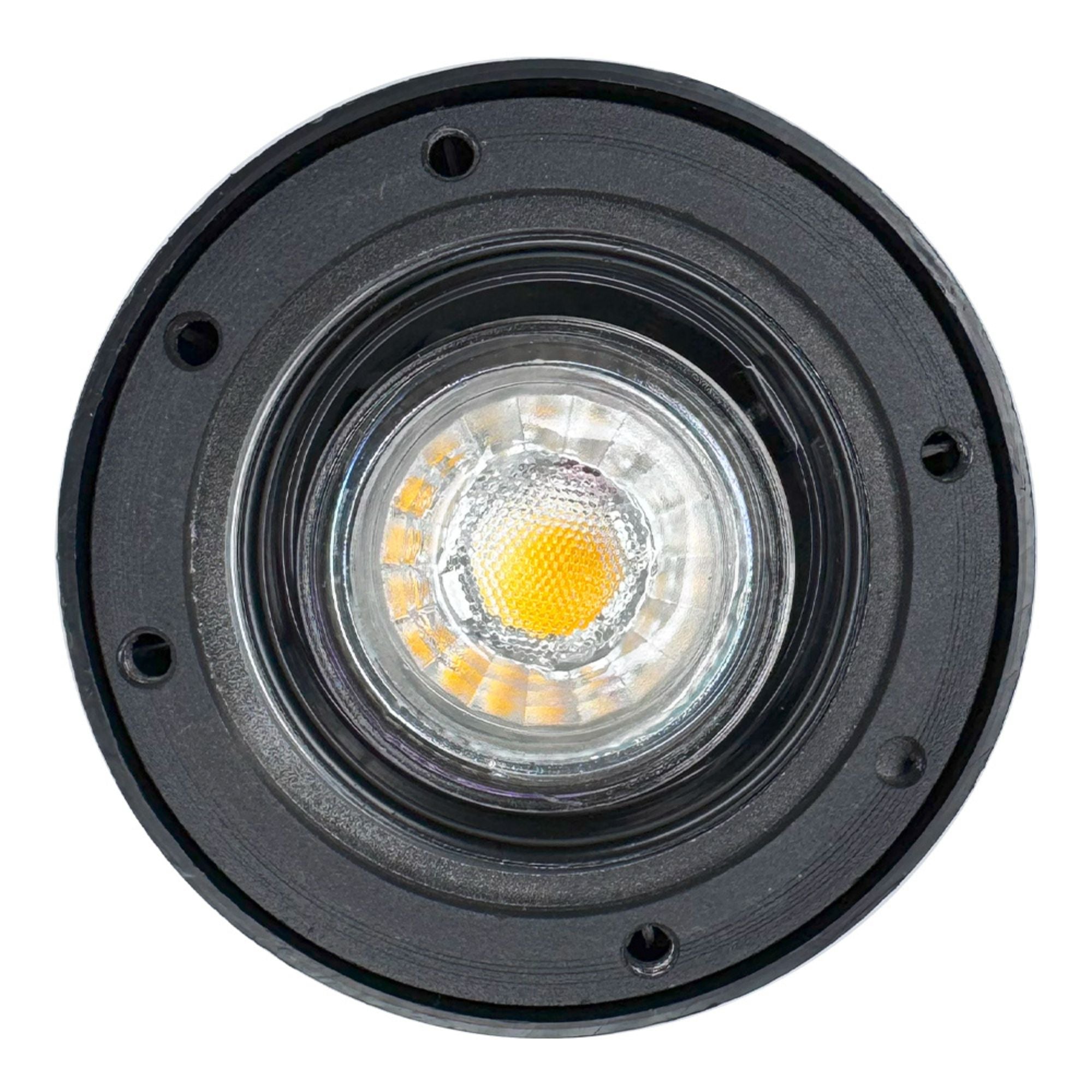LED In-Ground Well Light Round Flat Face, Stainless Steel - Bees Lighting
