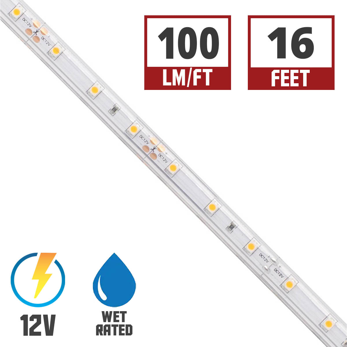 BLAZE Wet Location LED Strip Light, 100+ Lumens per Ft, 12V