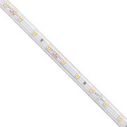 Diode LED Blaze 100 Wet Location LED Strip Light - Bees Lighting