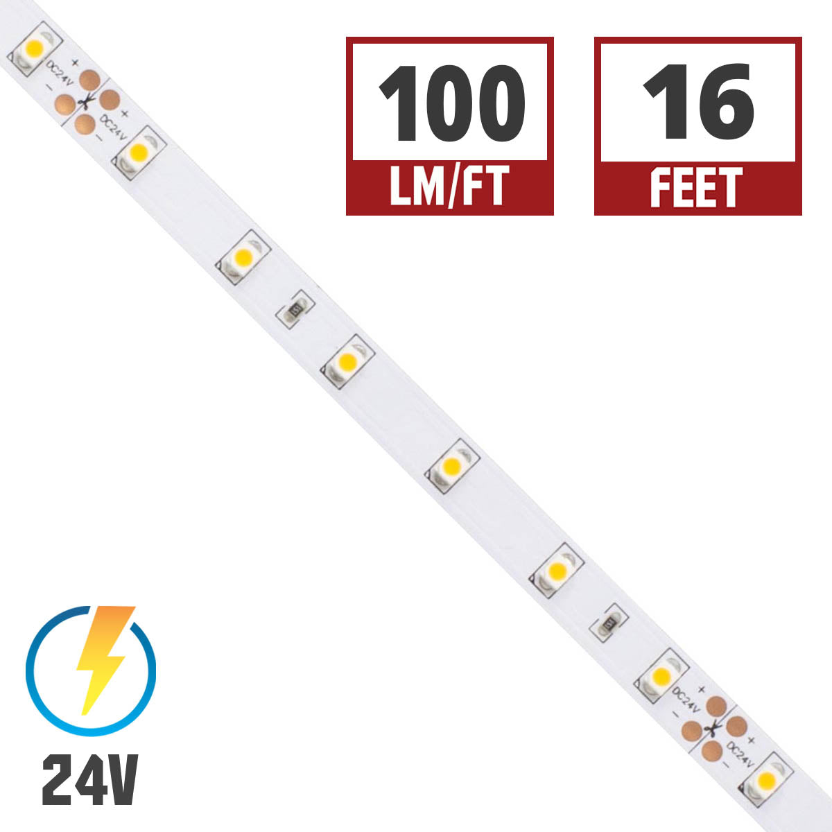 BLAZE LED Strip Light, 100+ Lumens per Ft, 24V