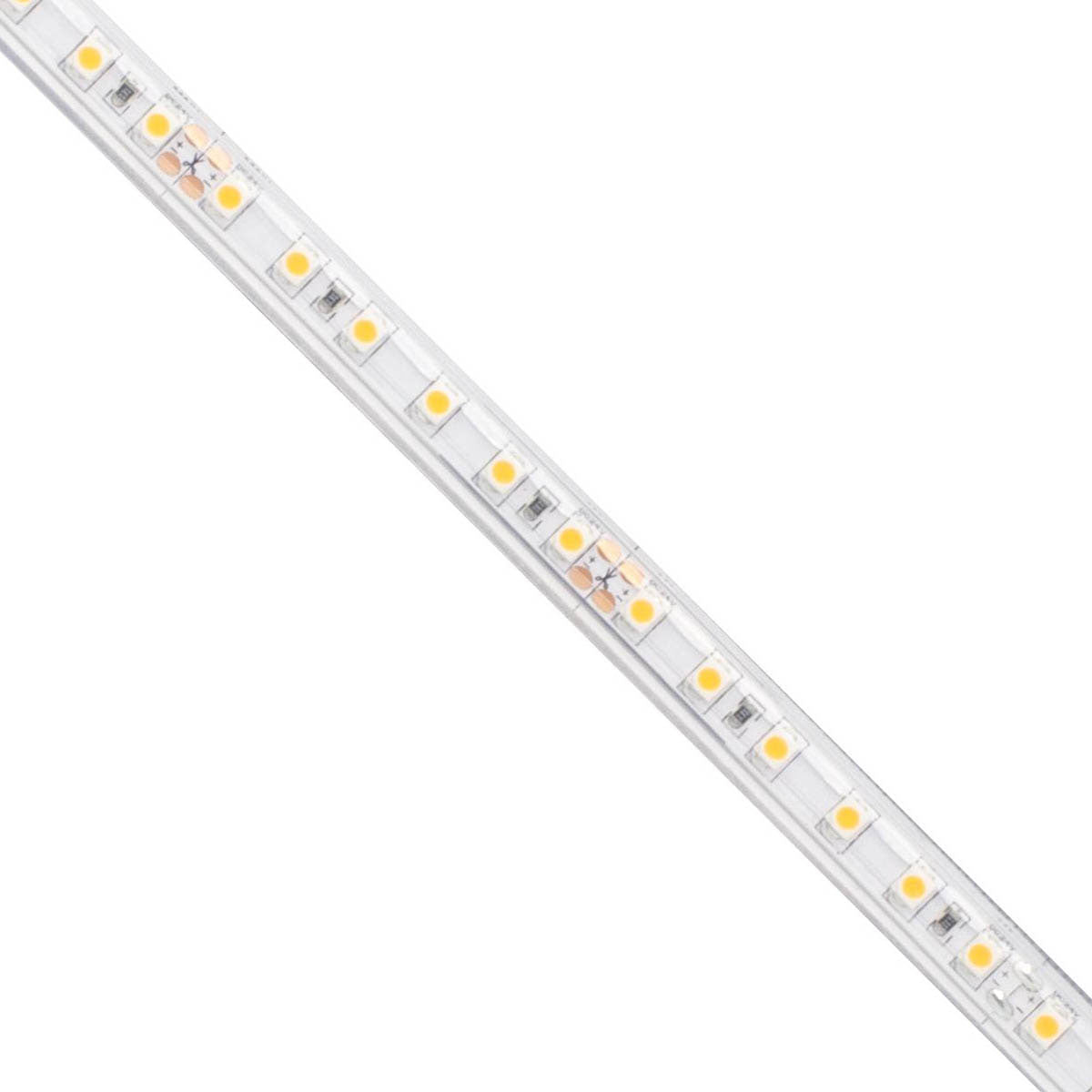 BLAZE Wet Location LED Strip Light, 100Ft Reel, 2700K, 209 Lm/Ft, 24V - Bees Lighting