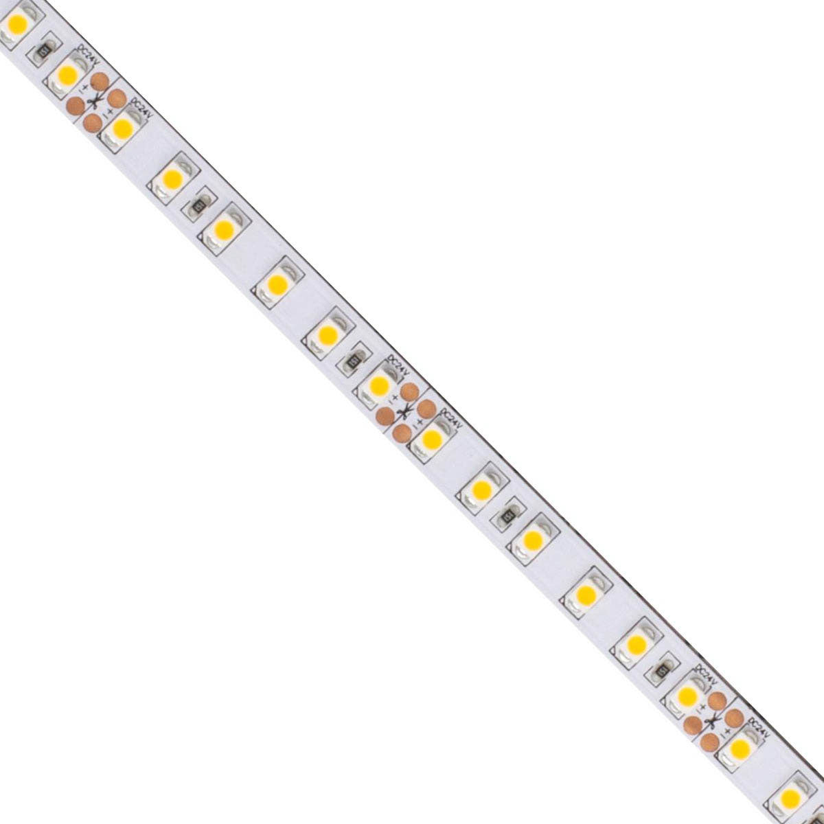 BLAZE LED Strip Light, 100Ft Reel, 5000K, 261 Lm/Ft, 24V - Bees Lighting